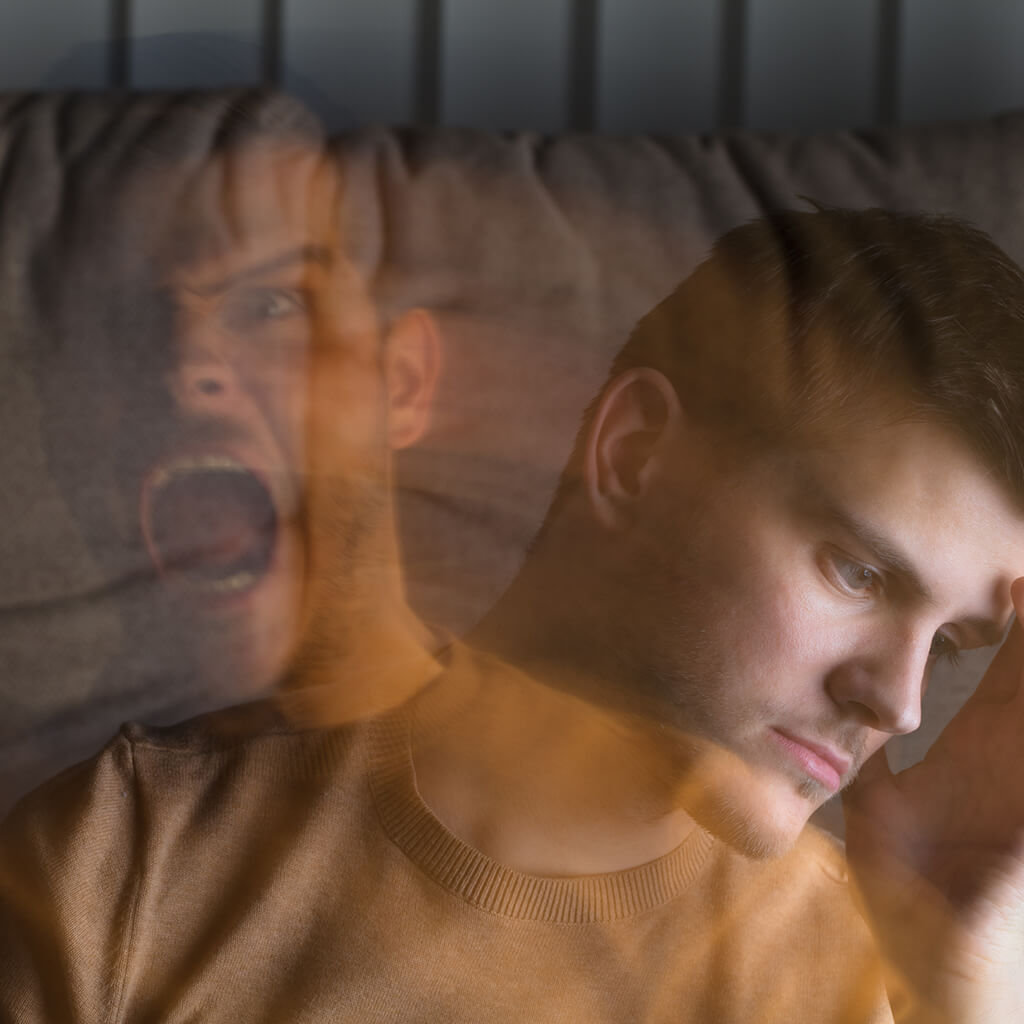 Aggressiveness in bipolar disorder: from stigma to reality