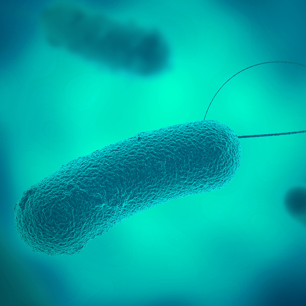 Simptomele și tratamentul bacteriei Escherichia coli