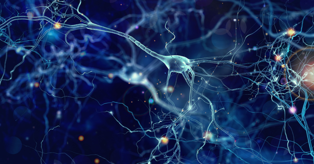 EMA Approves Alzheimer's Drug for Early Treatment: Ospedale San Raffaele Has Started Administering It