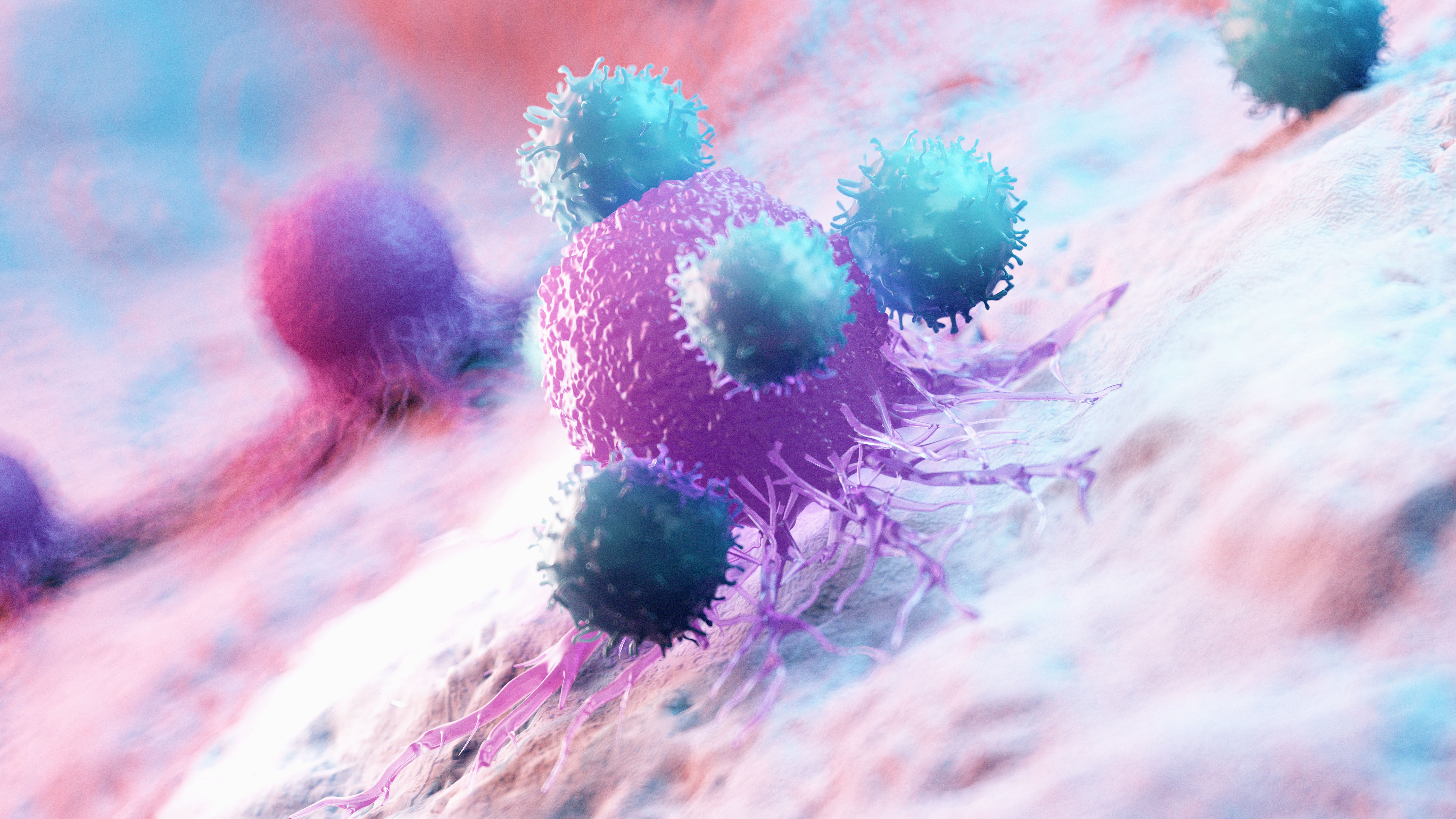 T-lymphocytes can protect against SARS-CoV-2 variants even in the absence of antibodies