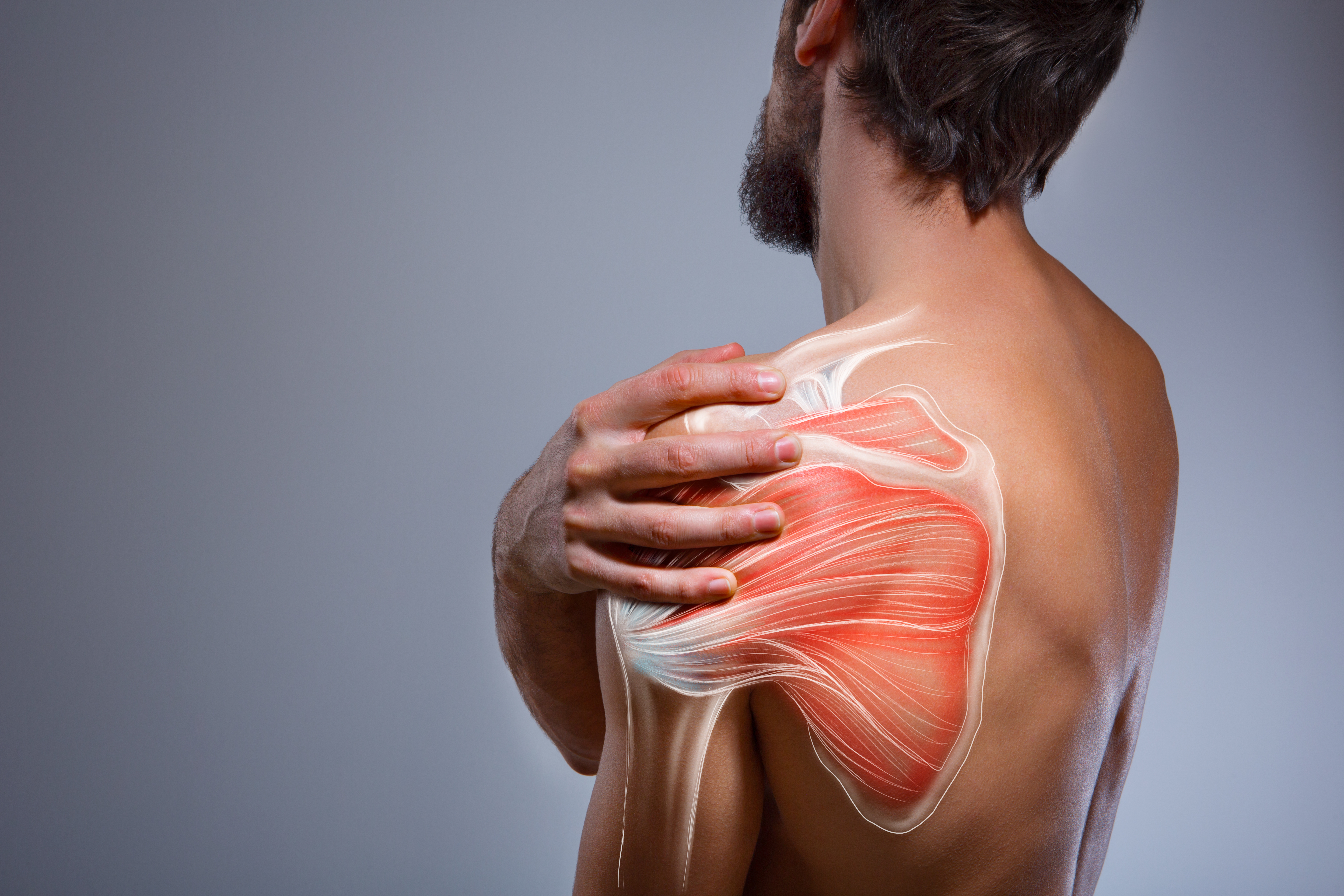 The differences between fibromyalgia and rheumatic polymyalgia