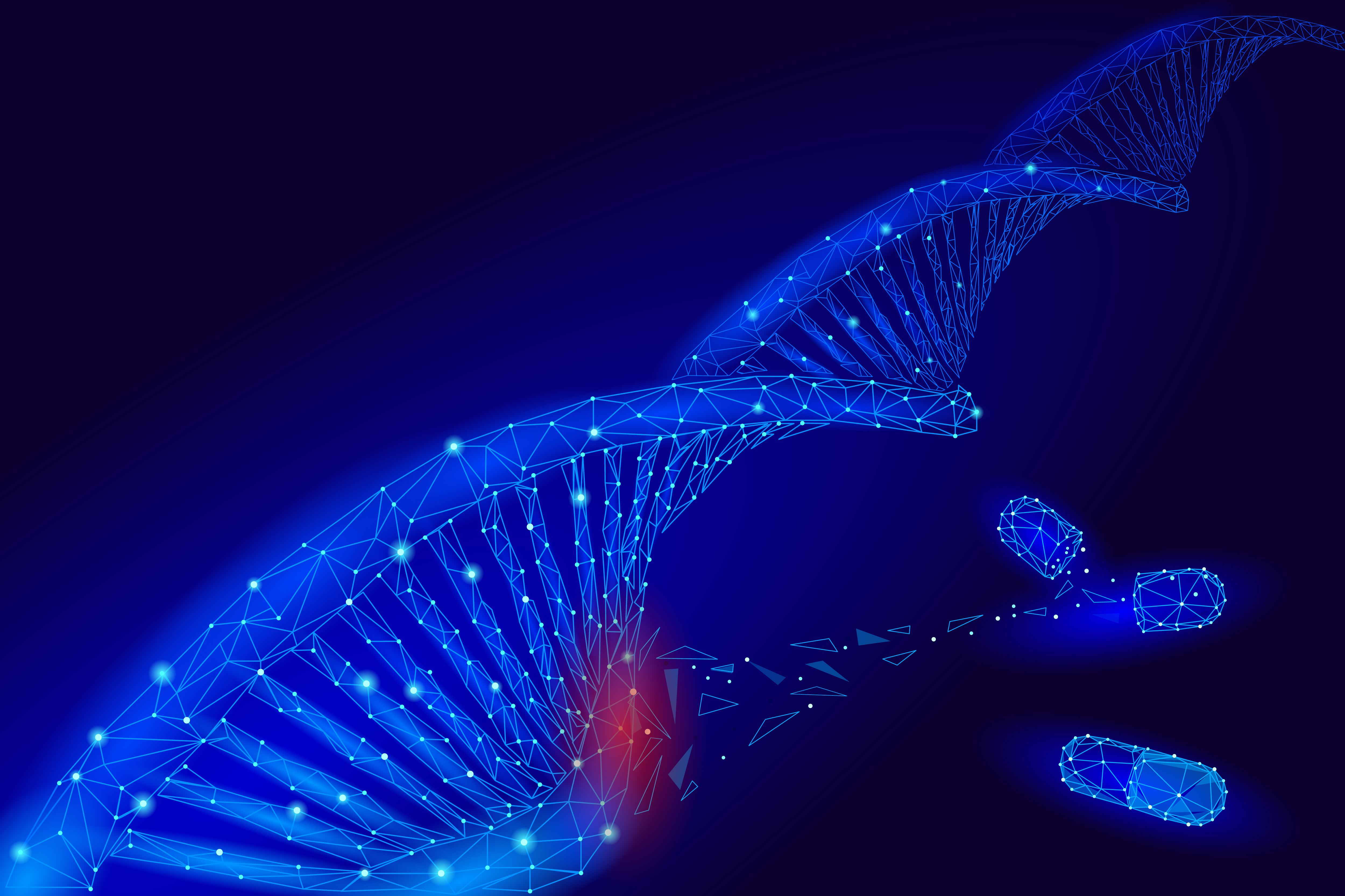 The effectiveness of a new CAR-Treg-based therapy demonstrated in a SLE (Systemic Lupus Erythematosus) model